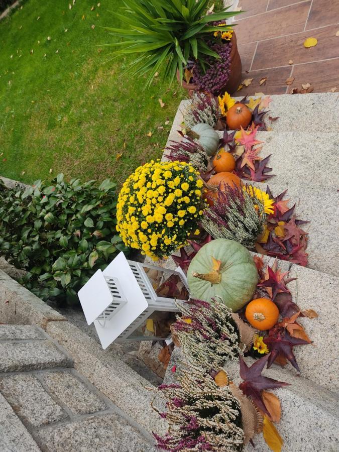 Posada Rural La Flor Las Navas del Marqués Eksteriør bilde